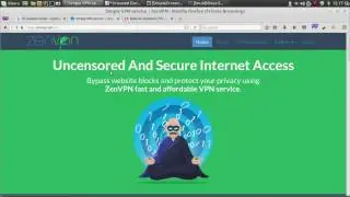 HOW TO GET FREE VPN FOR LINUX MINT/UBUNTU/KALI LINUX