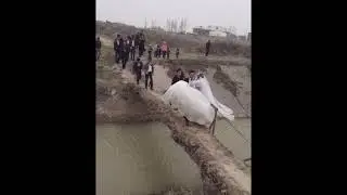 Kelin va Kuyov Baxtli boʻlisin Uzbek toʻylari daxshat Obuna boʻling 👇