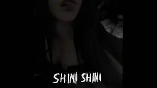 murflauer - shini shini