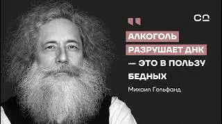 Что передается нам от матери, а что от отца? Неочевидная генетика с биоинформатиком Гельфандом