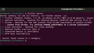 How to fix flutter: Chrome - develop for the web (cannot find chrome executable at google-chrome)