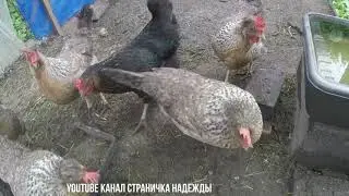 Всё валится из рук Дождь ЗаДОЛбал