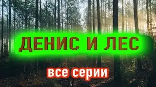 Полная версия аудиосериала! Денис и таинственный лес. 10 серий в одном видео! Мистическая история!