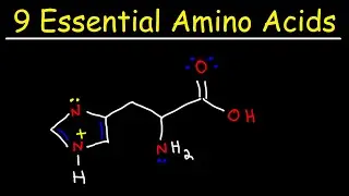 Essential Amino Acids