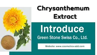 Chrysanthemum Extract