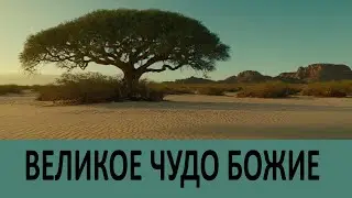 И явлено будет ВЕЛИКОЕ ЧУДО БОЖИЕ