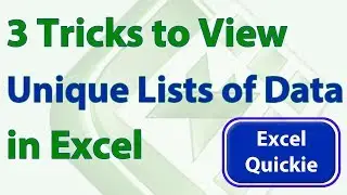 Excel Quickie 7 - 3 Ways to View a List of Unique Records in Excel