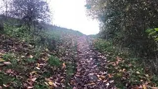 Spooky stroll through a lovely trail