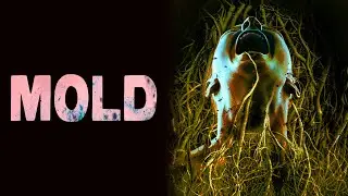 Mold (2022) [Sci-Fi] [Horror] 🦠 Unstoppable Terror Unleashed 🔬 Full Movie