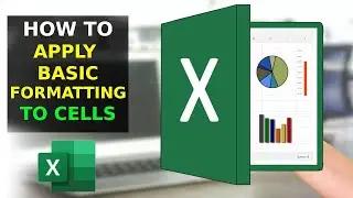 How To Apply Basic Formatting to Cells in Excel (2023)