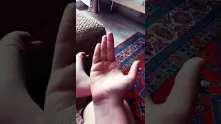 Фокус