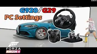 [Forza Horizon 4] PC Wheel Settings for G920 and G29