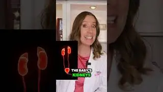 Crazy Facts About Pregnancy