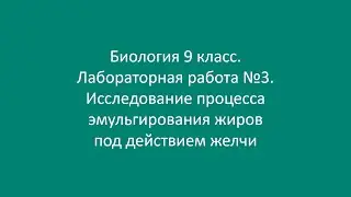 Биология 9 класс. Лаб. работа №3. Исследование процесса эмульгирования жиров под действием желчи