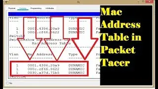 How to view mac addresses in packet tracer | CCNA part 7