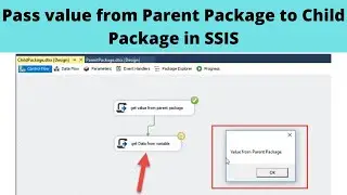 49 Pass value from Parent Package to Child Package in SSIS