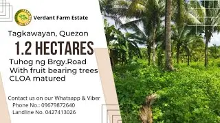 #16A-406| 25-30 minutes mula Town Proper ng Tagkawayan|