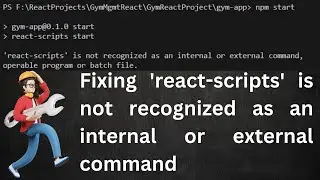 Fixing 'react-scripts' is not recognized as an internal or external command | In Hindi