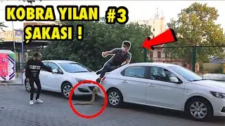YILAN İLE KORKUTMA ŞAKASI YAPARAK TROLLEDİM 3 !