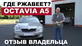 Где ржавеет? Skoda Octavia A5 отзыв реального владельца 2010 год, 288.000 км обзор авто