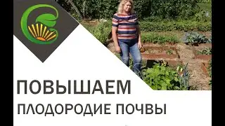 Повышаем плодородие почвы
