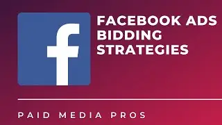 Facebook Ads Bidding Strategies