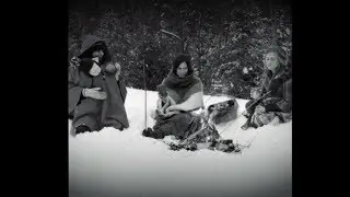 Winter Foraging for Sweet Burls 1950's (Are they Real?)