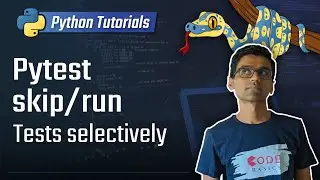 Python unit testing - skip/selectively run tests in pytest