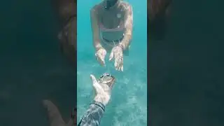 Diver Finds Human Remains at Tourist Beach 