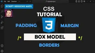 CSS Box Model tutorial for beginners: Complete Guide to Padding, Borders, and Margins.