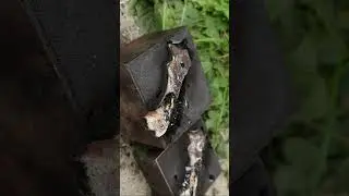 Melting Grinder DUST into Knife SCALES
