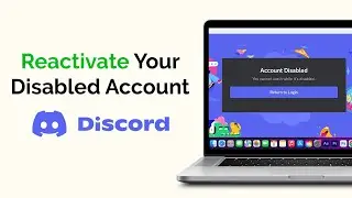 How to Reactivate Your Disabled Discord Account?