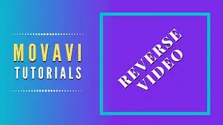 Reverse Video In Movavi - Movavi Video Editor Plus 2020  #22