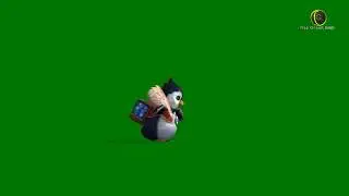 Penguin 2 Green Screen HD