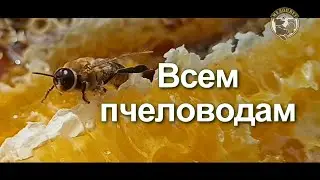 Каждому пчеловоду в Медовый Спас