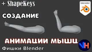 Blender Анимация Мышц | Blender Мышцы | Blender Анимация