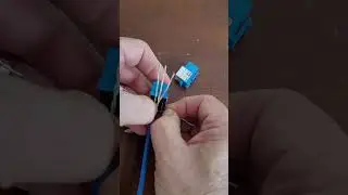 Network Jack wiring
