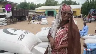 Drought Affects Maize Production in Cameroon