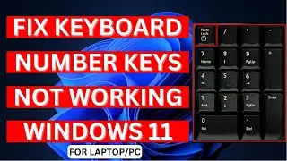 Fix Keyboard Number Keys Not Working Windows 11 Laptop/PC (2024)