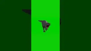 green screen tyrannosaurus rex 