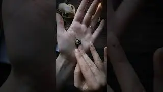 Unboxing de objetos mágicos de segunda mano