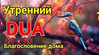 утренний дуа. дуа каждое утро