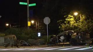 Hamilton couple, dog die in single-vehicle crash in Burlington