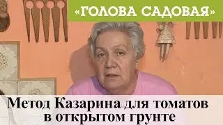 Голова садовая - Метод Казарина для томатов в открытом грунте