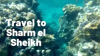Отдых в Шарм-эль-Шейх 2017