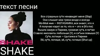 INSTASAMKA-SHAKE|текст песни