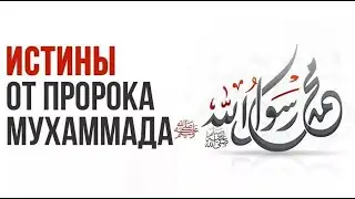 Советы Пророка Мухаммада (ﷺ)
