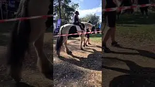 Верховая езда. Horse riding. 