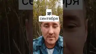 Сезон закрыт #shorts