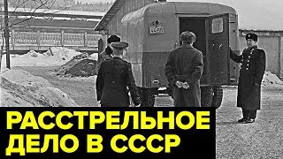 Золото в МОГИЛЕ дочери. Громкое дело советского мошенника Георгия Зуйкова